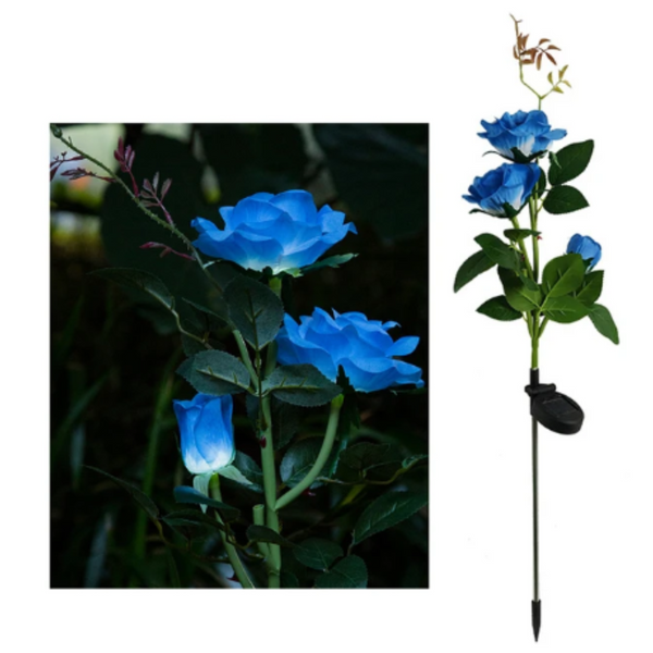Rosas solares · Foto del producto proporcionada por el proveedor