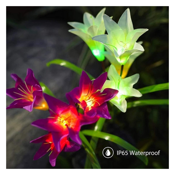 Lirios solares para jardín · fotografía del proveedor 4