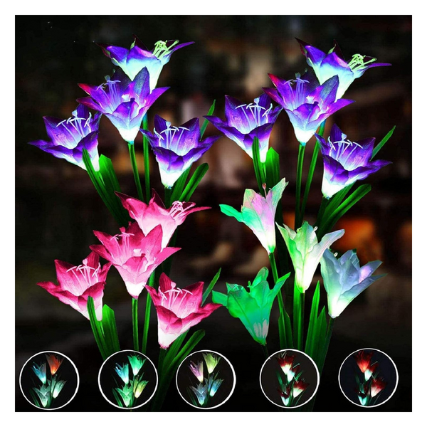 Lirios solares para jardín · fotografía del proveedor 3