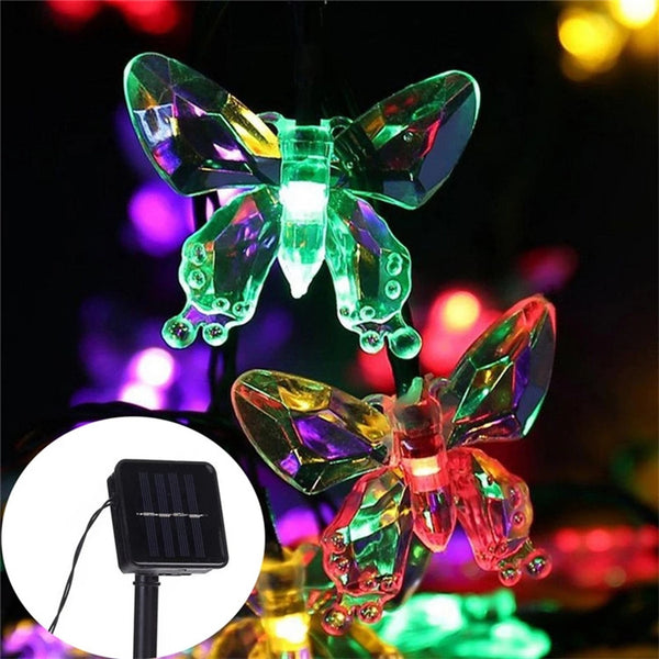 Mariposas solares multicolor · fotografía del proveedor 1