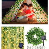 Enredadera solar · Foto del producto proporcionada por el proveedor
