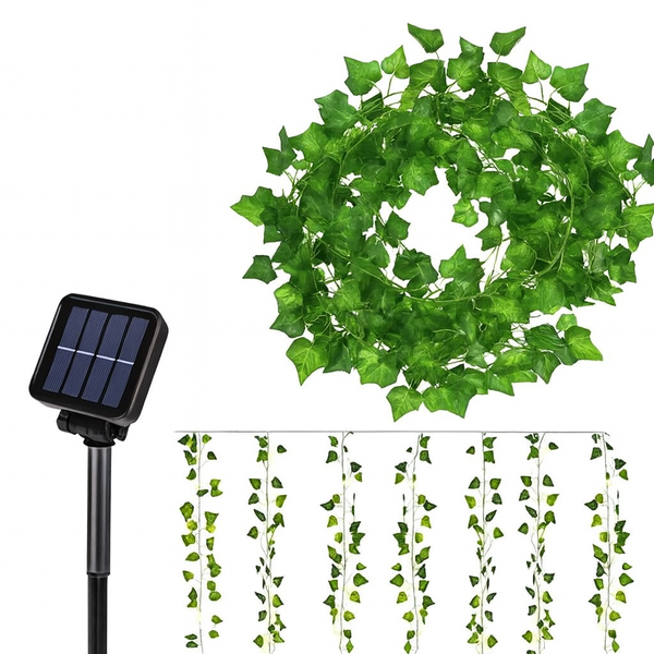 Enredadera solar · Detalle de referencia del proveedor