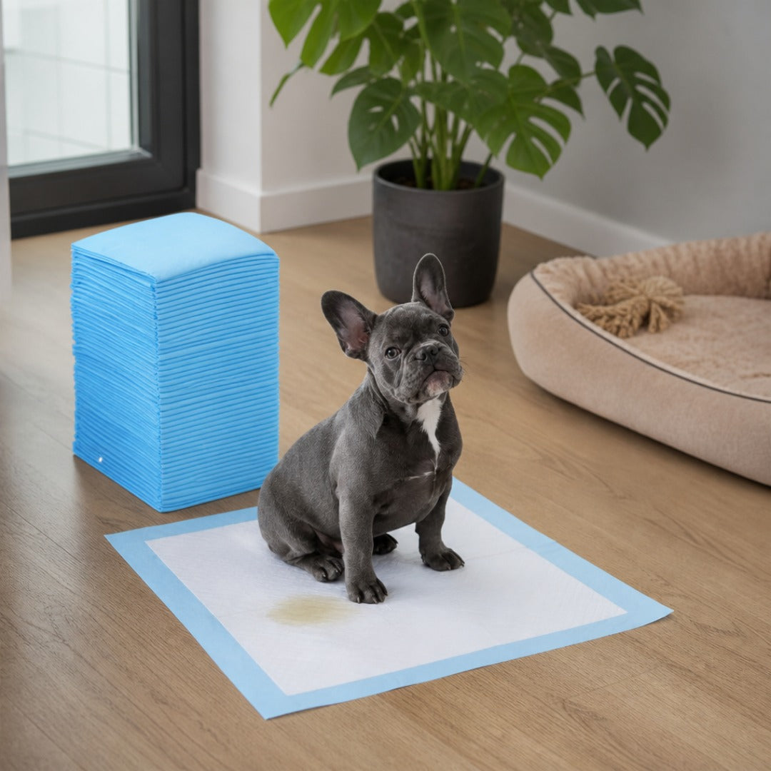 50 Sabanillas Absorbentes 60x60 para Perros