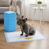 50 Sabanillas Absorbentes 60x60 para Perros