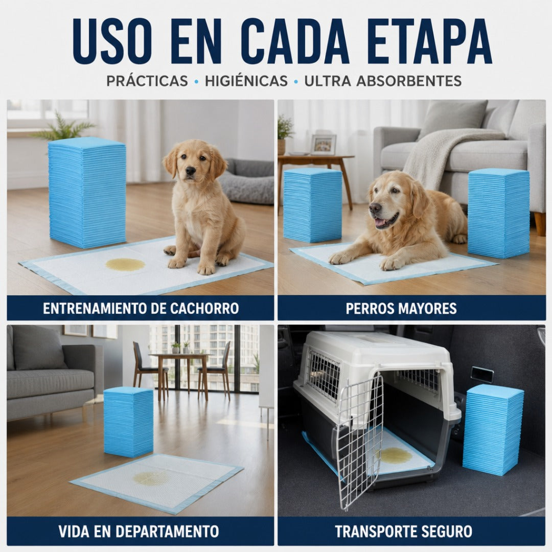50 Sabanillas Absorbentes 60x60 para Perros