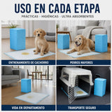 50 Sabanillas Absorbentes 60x60 para Perros