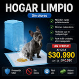 50 Sabanillas Absorbentes 60x60 para Perros