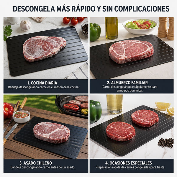 Bandeja de Descongelación Rápida