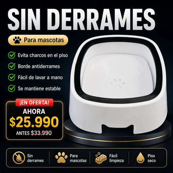 Bebedero Cuenco Antiderrames