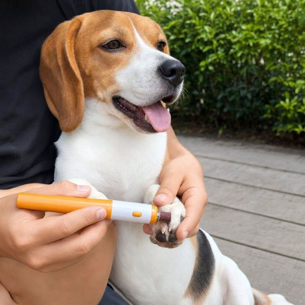 Cortador de Uñas para Mascota