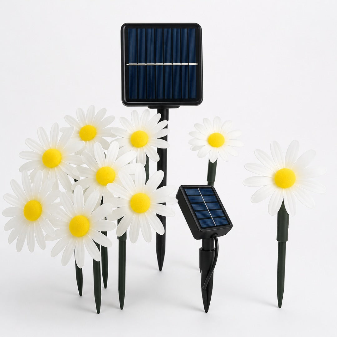 Guirnalda Solar de Margaritas Cálida
