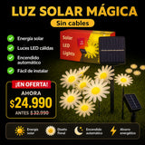 Guirnalda Solar de Margaritas Cálida