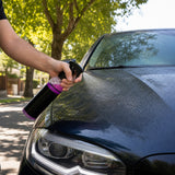 Protector Auto 3 En 1 Cera Spray
