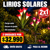 Lirios Solares para Jardín + Envío Gratis · 2 lirios solares por $32.990 · Envío gratis