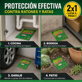 Trampa para Ratones 5pack Efecaz