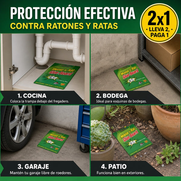 Trampa para Ratones 5pack Efecaz